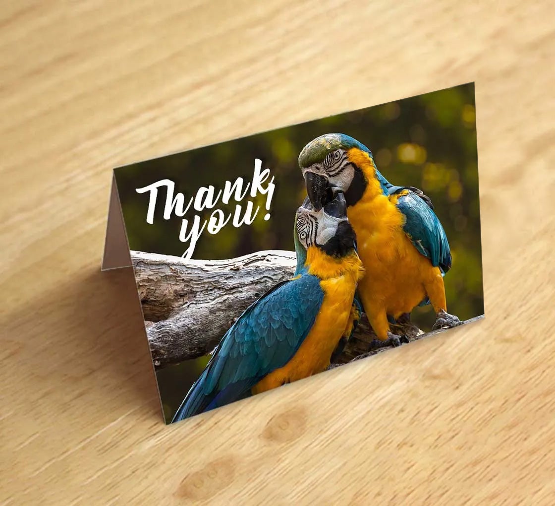 Folded Thank You Cards