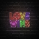 Love Wins Neon Sign