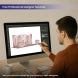 inline 20 ft inline trade show booth design 19 free designer service